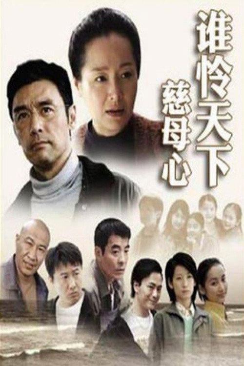 Póster de 谁怜天下慈母心