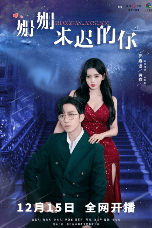 Póster de 姗姗来迟的你