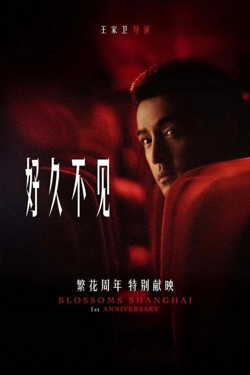 Póster de 繁花剧场版