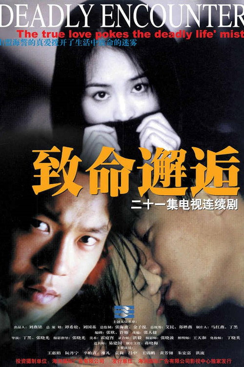 Póster de 致命邂逅