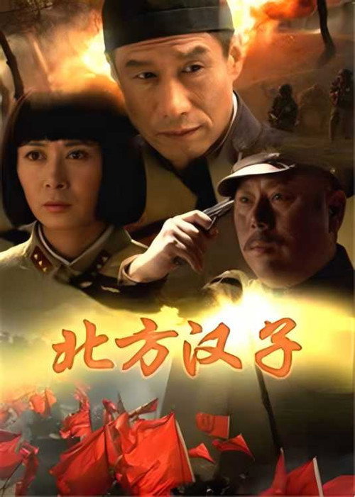 Póster de 北方汉子