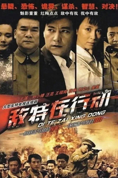 Póster de 敌特在行动