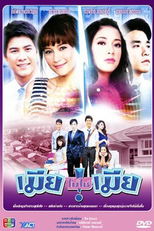 Póster de เมียไม่ใช่เมืย