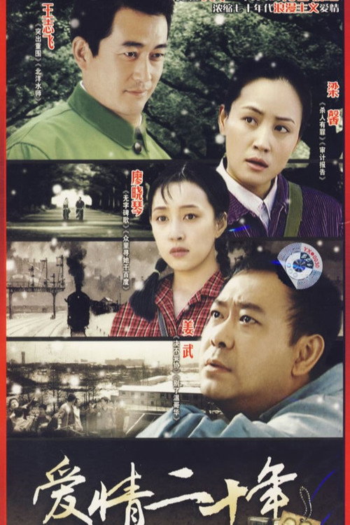 Póster de 爱情二十年