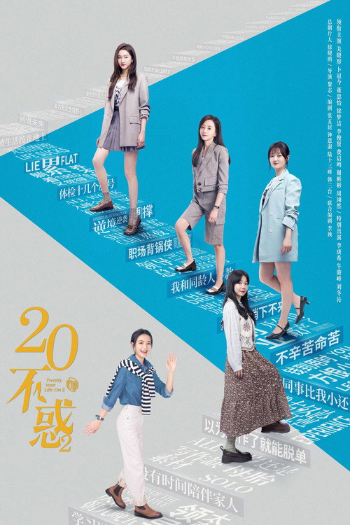 Póster de 二十不惑2