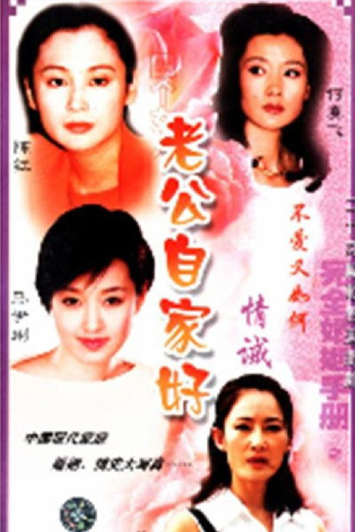 Póster de 完全婚姻手册