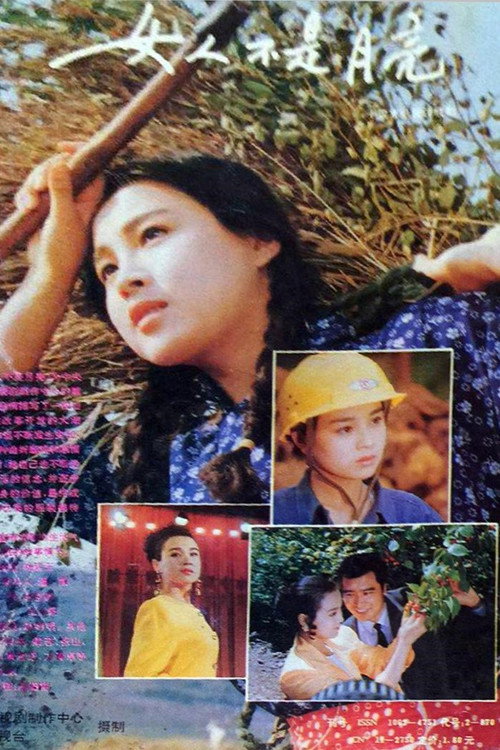 Póster de 女人不是月亮