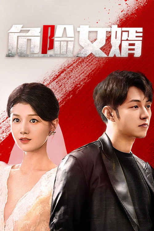 Póster de 危险女婿