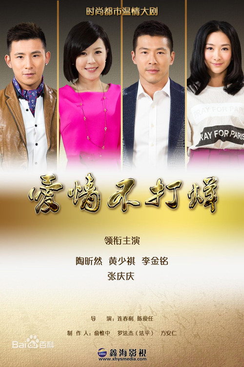 Póster de 爱情不打烊