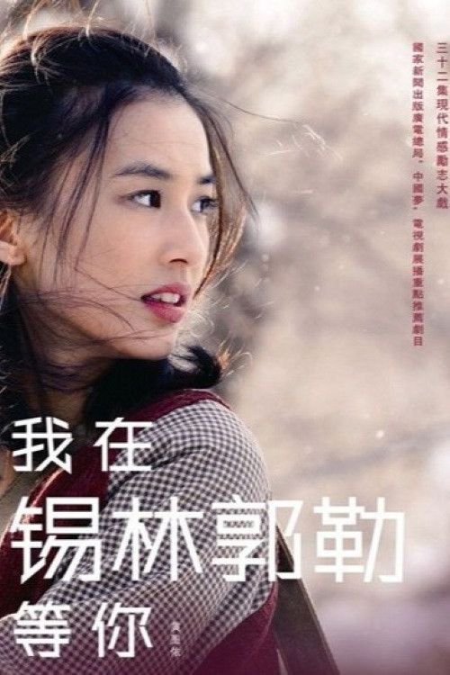 Póster de 我在锡林郭勒等你