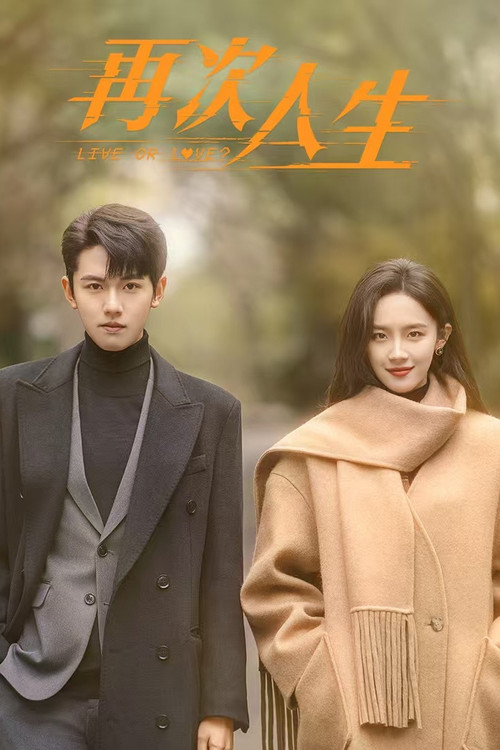 Póster de 再次人生