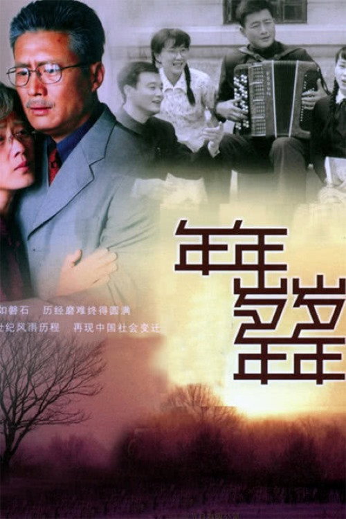 Póster de 年年岁岁年年