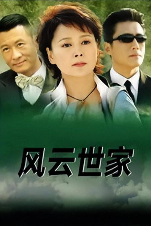 Póster de 风云世家