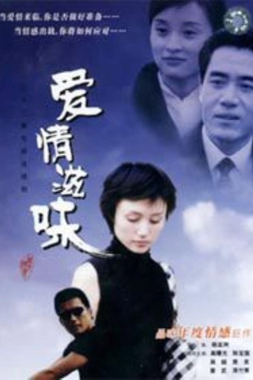 Póster de 爱情滋味