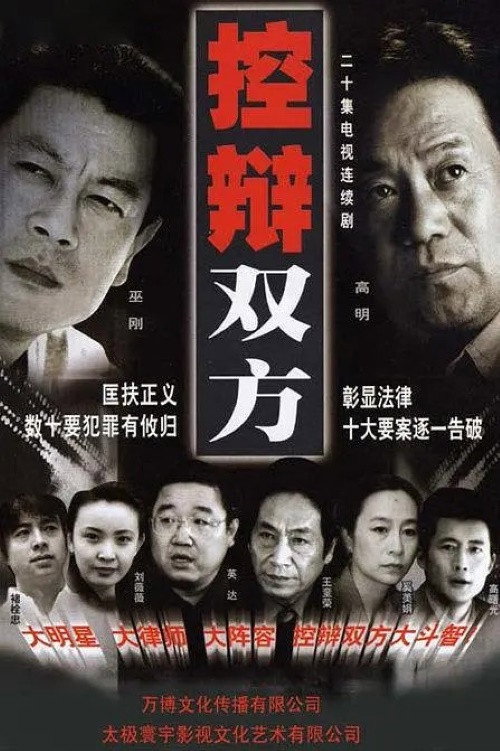 Póster de 控辩双方