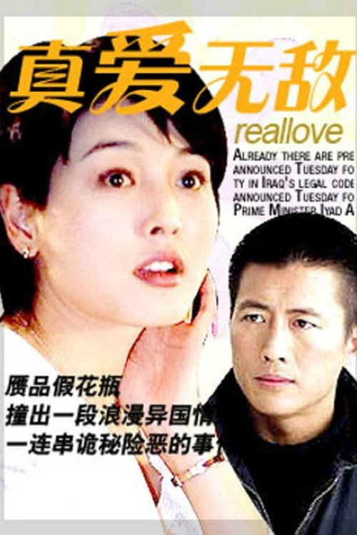 Póster de 真爱无敌