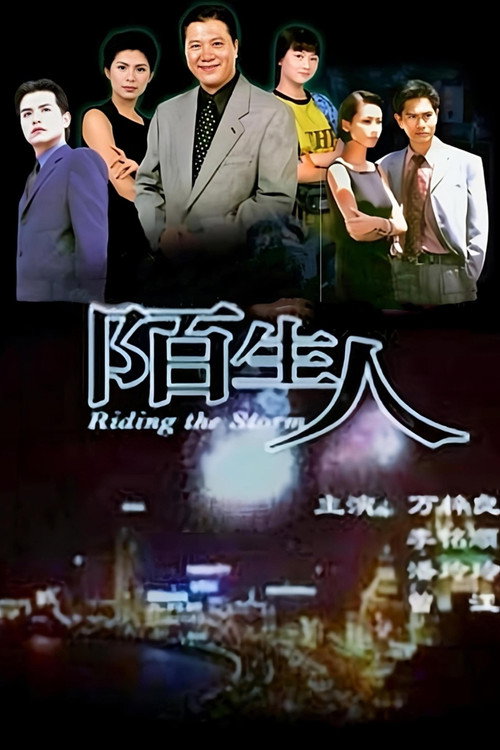 Póster de 陌生人