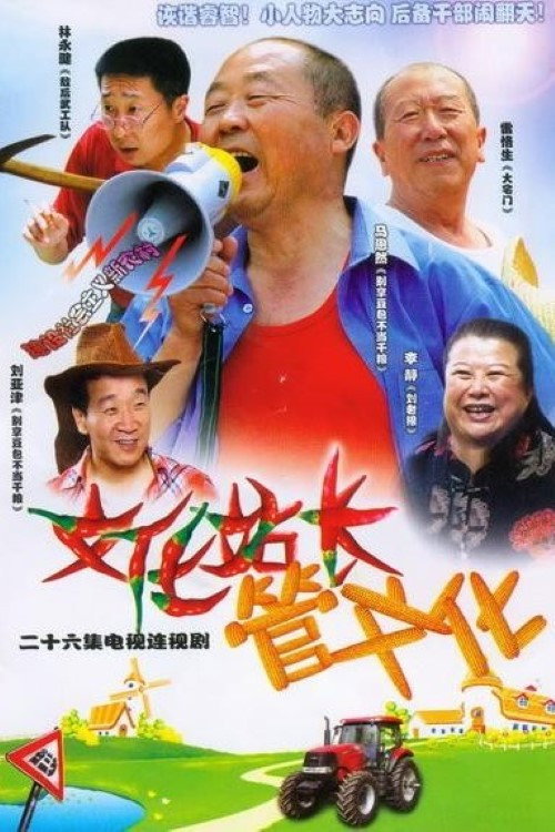 Póster de 文化站长