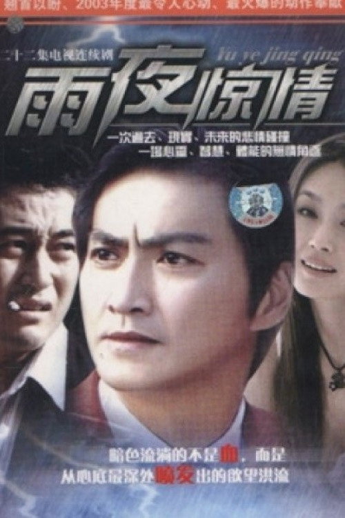 Póster de 雨夜惊情