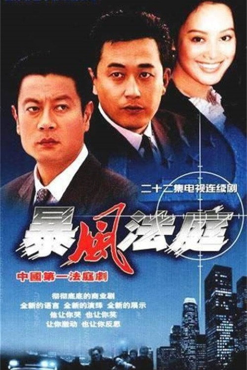 Póster de 暴风法庭