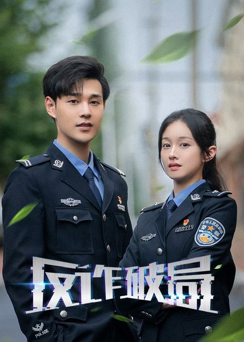 Póster de 反诈破局