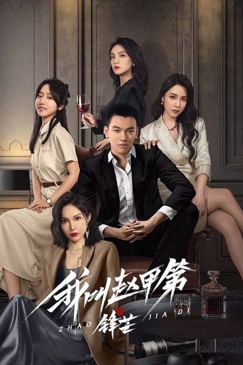 Póster de 我叫赵甲第之锋芒
