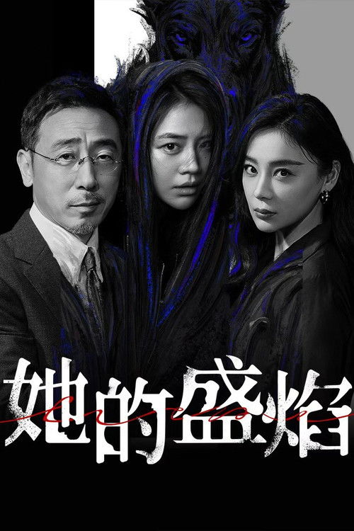 Póster de 她的盛焰
