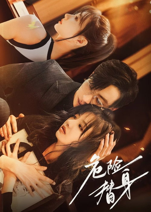 Póster de 危险替身