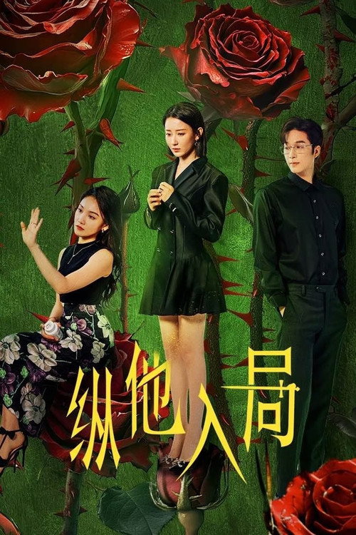 Póster de 纵他入局