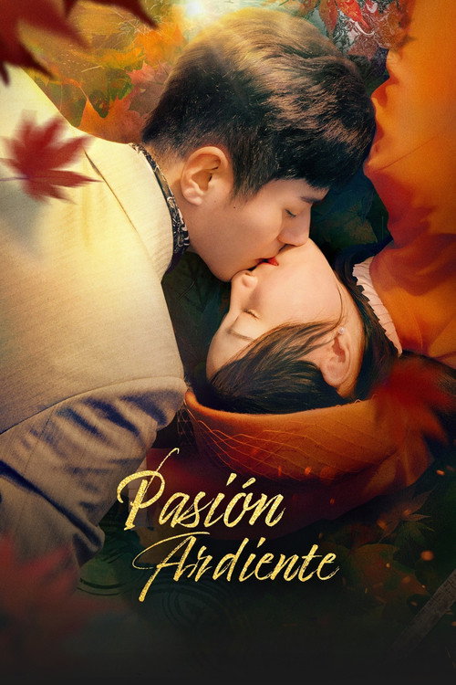 Póster de 燃情