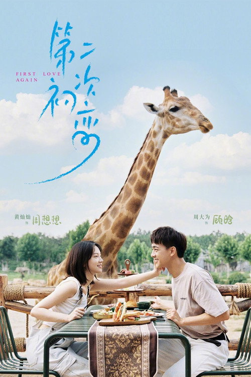 Póster de 第二次初恋