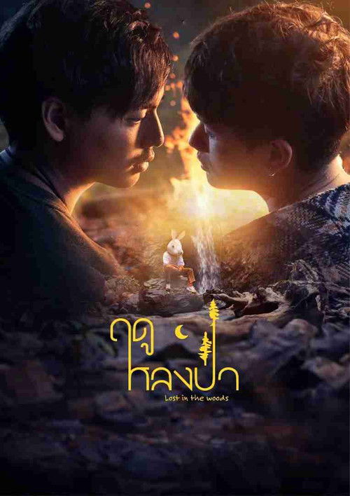 Póster de ฤดูหลงป่า