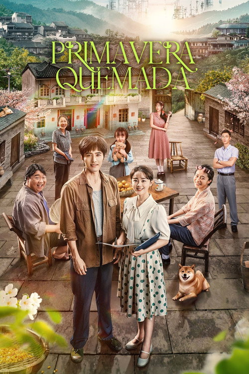 Póster de 春风燃情