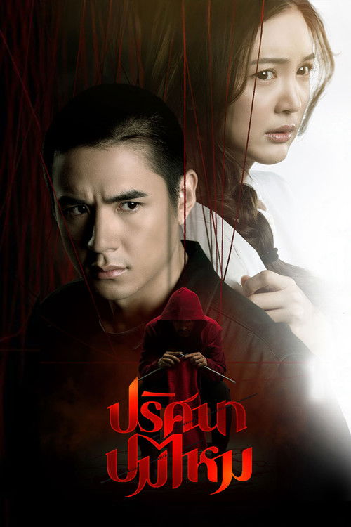 Póster de ปริศนาปมไหม
