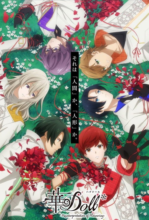 Póster de 華Doll*-Reinterpretation of Flowering-