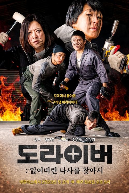 Póster de 도라이버