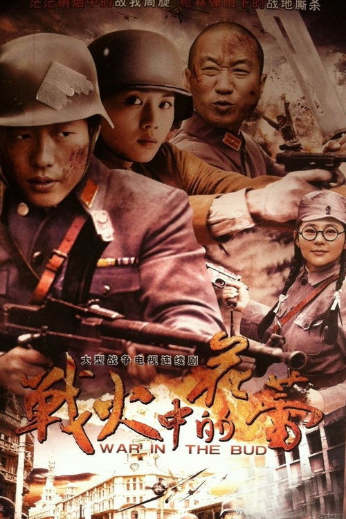 Póster de 战火中的花蕾