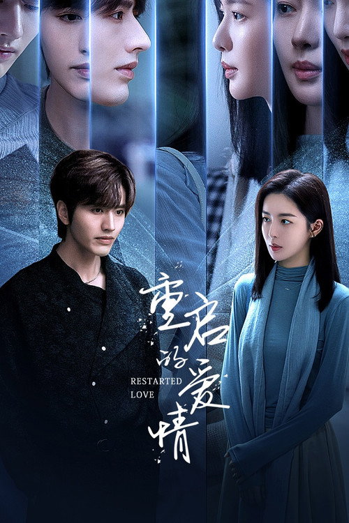 Póster de 重启的爱情