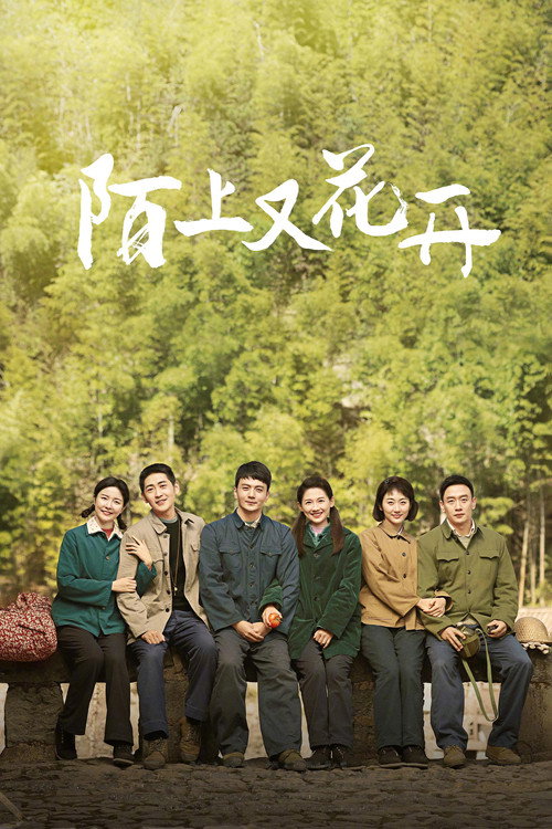 Póster de 陌上又花开