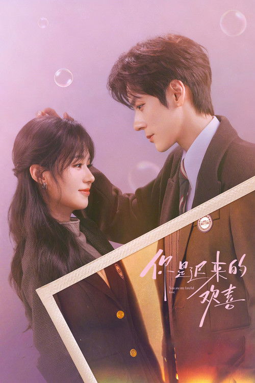 Póster de 你是迟来的欢喜