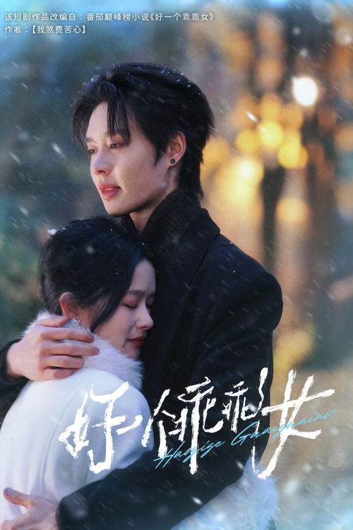 Póster de 好一个乖乖女