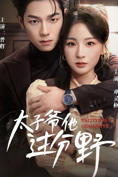 Póster de 太子爷他过分野