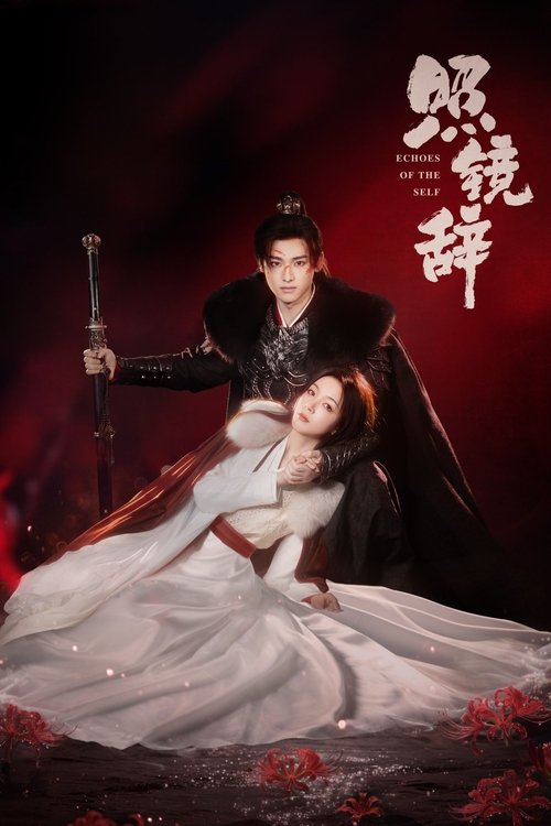 Póster de 照镜辞