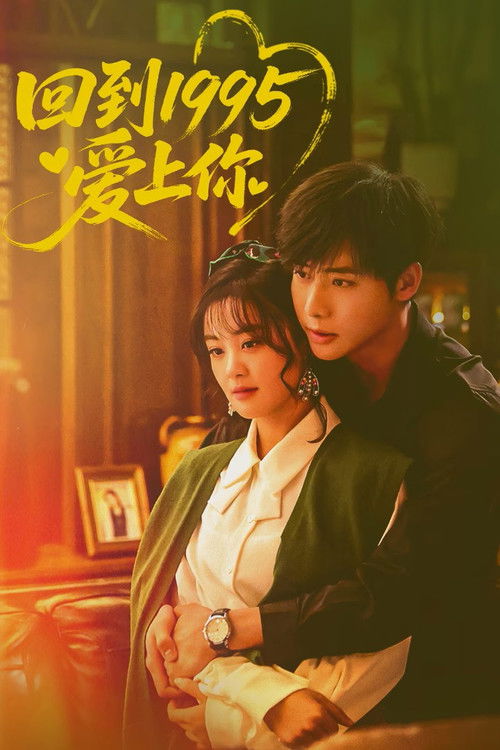 Póster de 回到1995爱上你