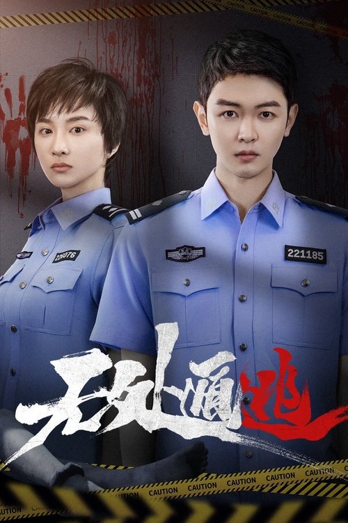 Póster de 无处遁逃