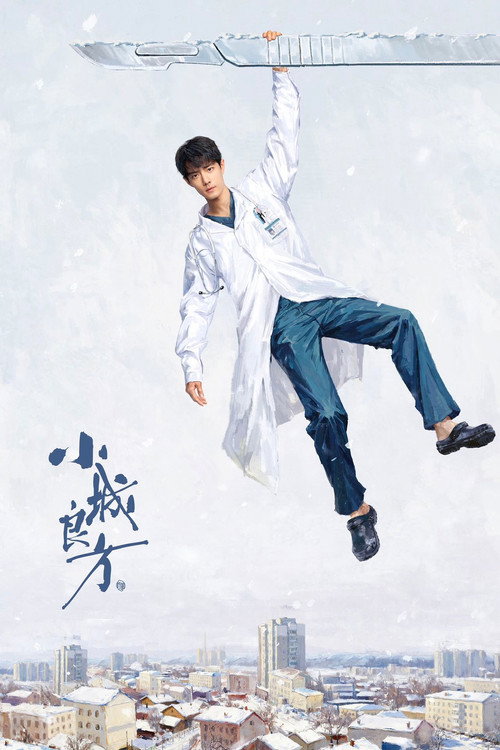 Póster de 小城良方