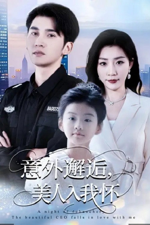 Póster de 意外邂逅，美人入我怀