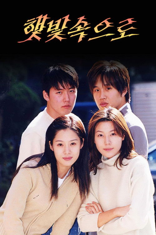 Póster de 햇빛속으로