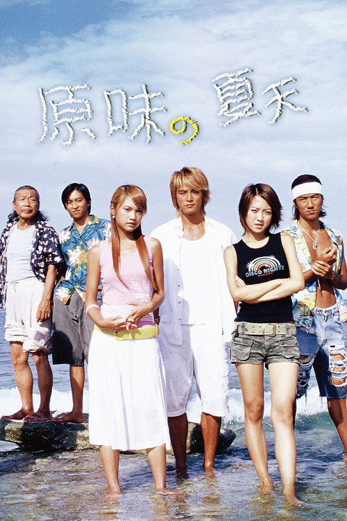 Póster de 原味的夏天