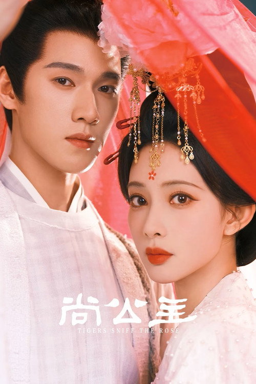 Póster de 尚公主